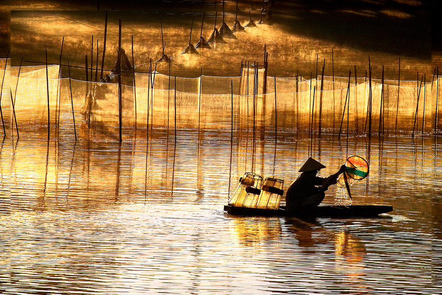 Hoi An sunrise fish market 3