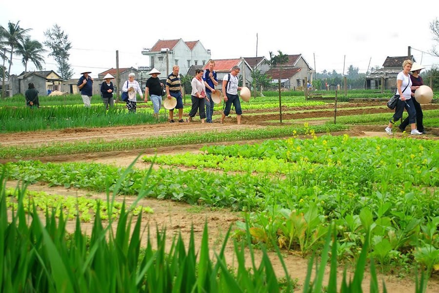 Hoian-biking-cooking-class-tour