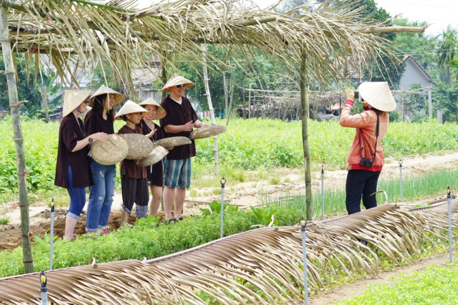 hoi an biking and cooking class tour