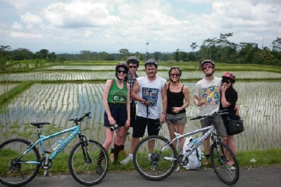 half day hoi an biking tour