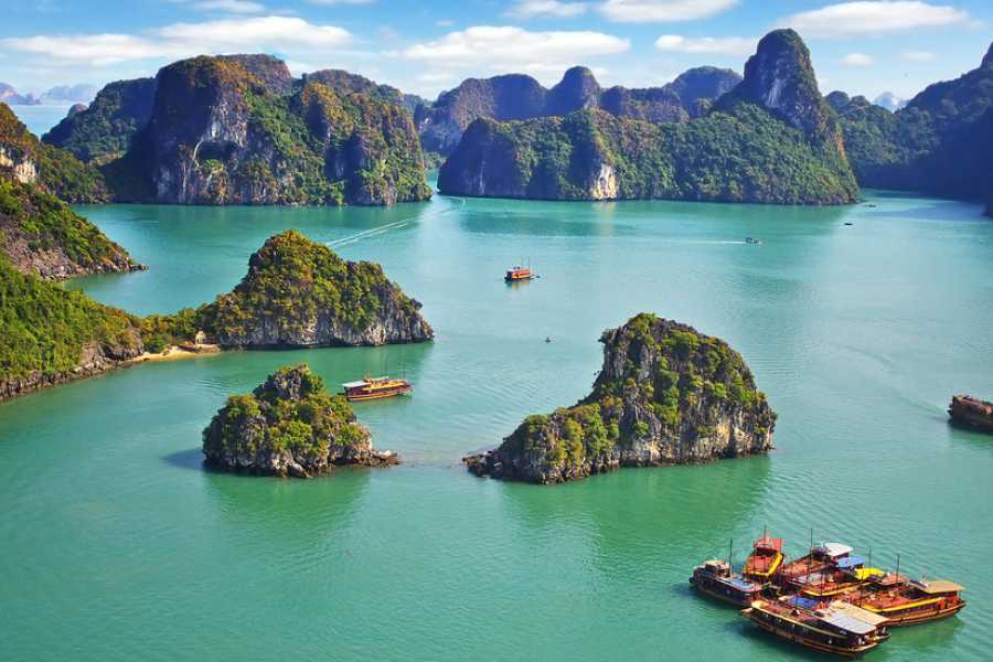 halong bay cruise 2 days 1 night