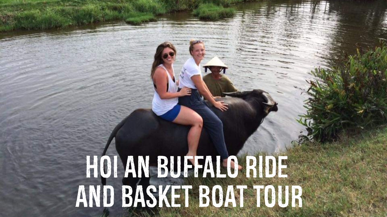 Hoi An Buffalo Ride and Basket Boat Tour